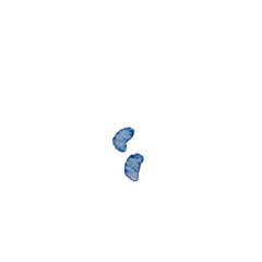 Indigo Kidney Bean Duo: Watercolor Simplicity