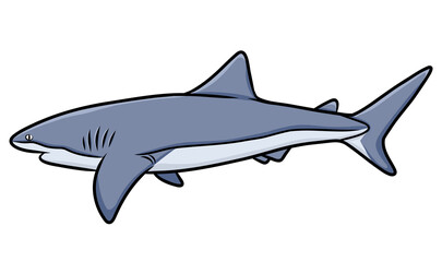 Handdrawn Illustration of a Shark