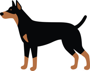 Dogs doberman cartoon . Vector illustration.eps