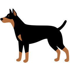 Dogs doberman cartoon . Vector illustration