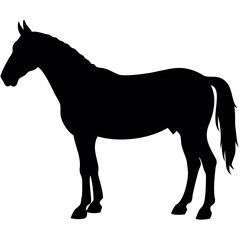 Obraz premium Silhouette of a standing horse with a flowing mane and tail in solid black against a white background created with generated ai