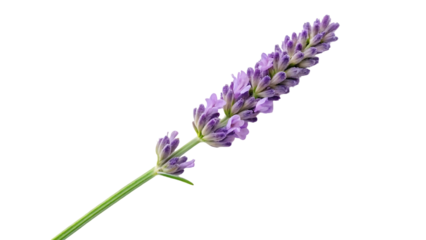 isolated on white medical apparel for doctors and nurses in a healthcare setting 89839825 32