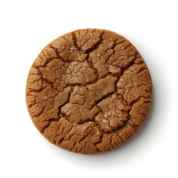 A single round, cracked gingerbread cookie with a golden-brown surface isolated on a white background.