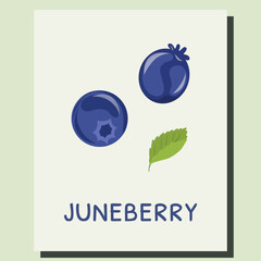 Juneberry Fruit Poster, Simple Nature Card, Saskatoon Berry Vector Design, Healthy Wild Fruit Card