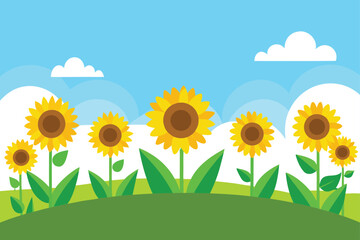 Bright yellow sunflowers under blue sky with white clouds brown green