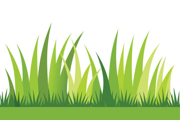 Fototapeta premium Green grass blades with varying shades nature lawn