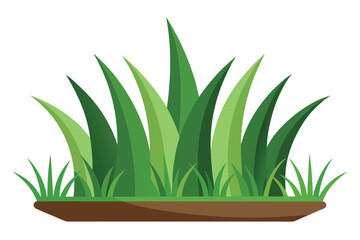 Lush green grass blades growing from brown soil leaves growth