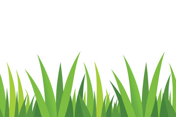 Lush green grass blades nature lawn