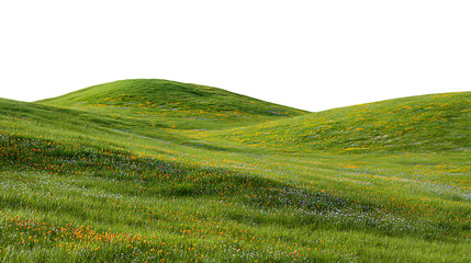 Expansive green landscape with undulating hills and scattered wildflowers isolated on transparent background