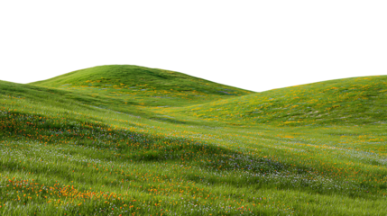 Expansive green landscape with undulating hills and scattered wildflowers isolated on transparent background