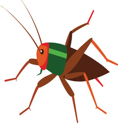 Close-up of a Field Cricket on Natural Ground Surface in Daylight – Macro Insect Wildlife Photography for Nature, Entomology, Ecology, and Insect Species Concepts on Stock Platforms