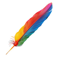 Vibrant rainbow feather against black