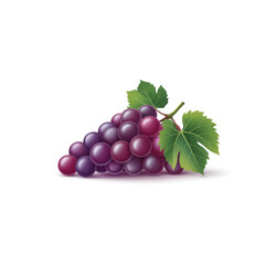 bunch of grapes