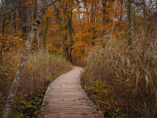 Obraz premium Wooden walkpath in Plitvice National Park. Splendid autumn in forest with pure water lake. Picturesque landscape of Croatia, Europe. Beauty of nature concept background.