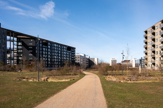 Pedestrian pathway between modern apartment blocks with landscaped zones, open light and empty composition, adaptable for urbanism, architecture or green living narratives