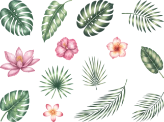 Fotobehang Tropische Bladeren Tropical watercolor flowers and leaves with hibiscus and bird of paradise. Hand painted botanical exotic tropical blooms and palm leaves.  © Joydeb