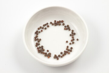 生命宿すキャベツの種子