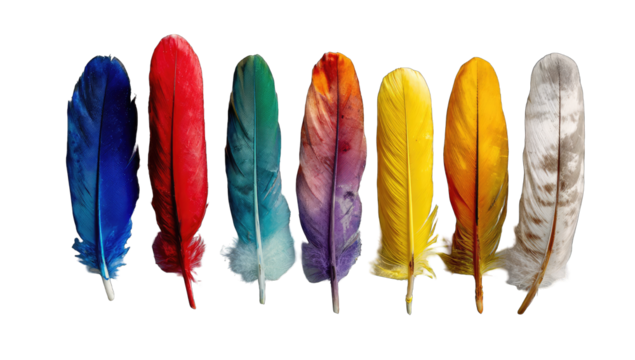 Row of colorful bird feathers