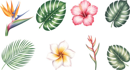 Fototapeta premium Tropical watercolor flowers and leaves with hibiscus and bird of paradise. Hand painted botanical exotic tropical blooms and palm leaves.