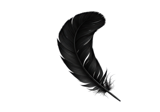 Isolated Elegant Black Feather Floating Gently in Air