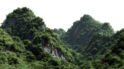 Panoramic view of densely forested green mountains under a bright sky isolated on transparent background