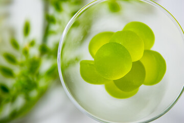 グミ ソフトキャンディ おやつ 甘い 食べ物 Gummies Soft Candy Snack Sweet Food