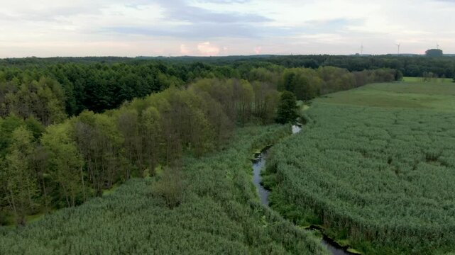 łąka las jezioro torfowisko natura polska z lotu ptaka dron