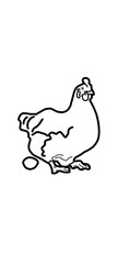 hen lay egg illustration