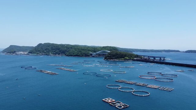 Aerial Drone Footage of Bluefin Tuna Fish Farm in Kushimoto, Wakayama, Japan002