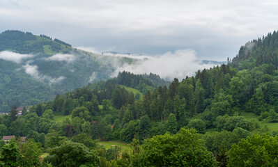 Around Schoenau in the Black Forest