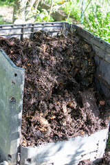 Ouverture d'un bac à compost de jardin extérieur rempli de déchets alimentaires et de déchets...