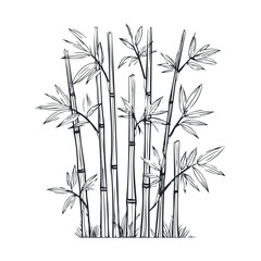 Obraz premium Detailed black and white bamboo illustration with leafy stalks