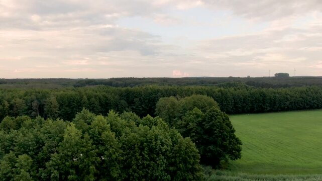 łąka las jezioro torfowisko natura polska z lotu ptaka dron