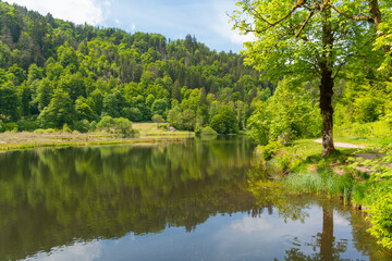 Obraz premium Nonnenmattweiher in Germany
