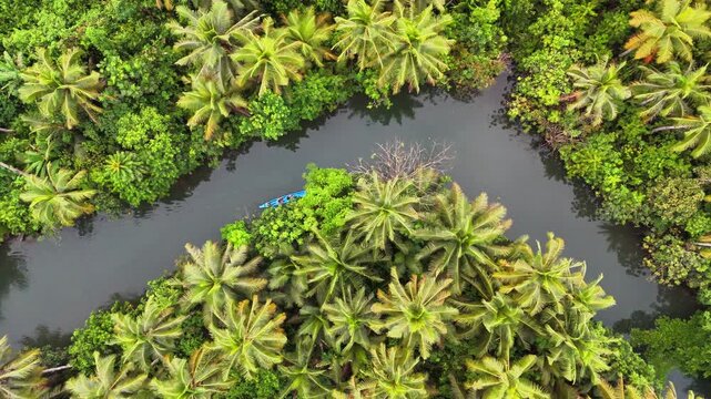 Blue boat moves slowly along Maasin River, surrounded by dense tropical palm forest in Siargao, Philippines, captured in a top-down drone shot with winding waterway and lush green vegetation.