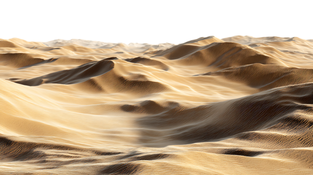 Undulating sand dunes stretch across a desert landscape under a bright sky isolated on transparent background