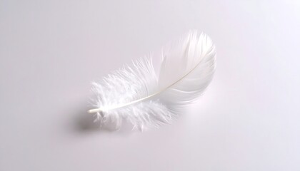Single white feather on light gray surface