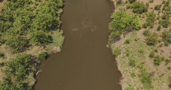 Hwange Park Zimbabwe Aerial v23 birds-eye view flyover Deka River's Crocodile Pools Hide capturing wild hippos soaking in murky waters during the wet season - Shot with Mavic 3 Pro Cine - Jan 4th 2024