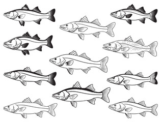 SNOOK FISH SILHOUETTE