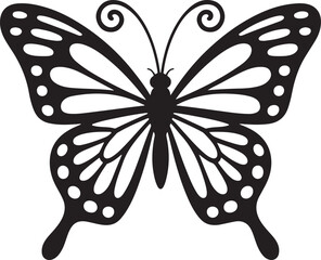butterfly vector illustration