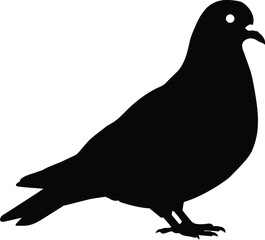 Elegant Silhouette of a Pigeon Standing Still on a White Background Simple and Clean