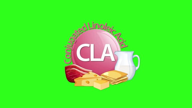 Conjugated Linoleic Acid Animation With Dairy and Meat Icons
