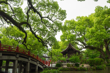 太宰府天満宮の赤い橋