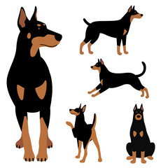  Dogs doberman cartoon with 5 poses. Vector illustration