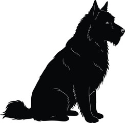 Silhouette of a Groenendael Dog Sitting Isolated on White Background Side View