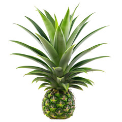 Fototapeta premium Close-up of a pineapple (1)