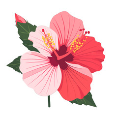 Obraz premium Stylized pink and red hibiscus flower illustration with a bud and green leaves.