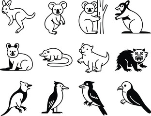 Collection of australian animals and birds in a simple line drawing style