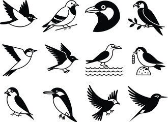 Fototapeta premium Collection of various bird illustrations in black and white line art style