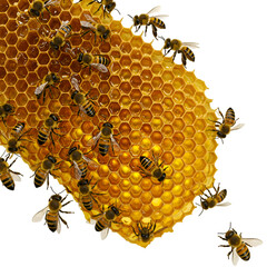 Golden honeycomb structure with hexagonal cells containing sweet honey